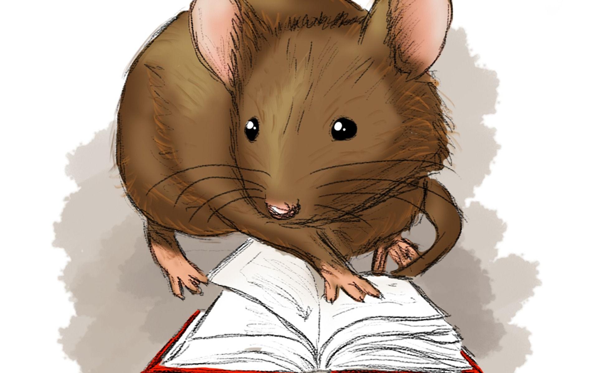 Bild zeigt eine lesende Maus